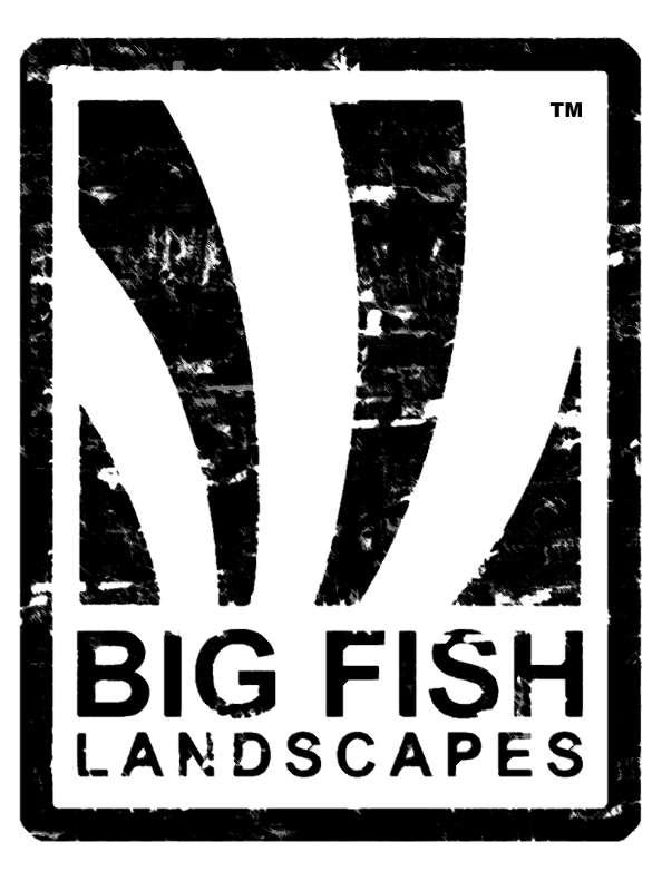 Big Fish Landscapes Ltd Logo